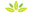 Essential oil and Herbal Dietary Supplements